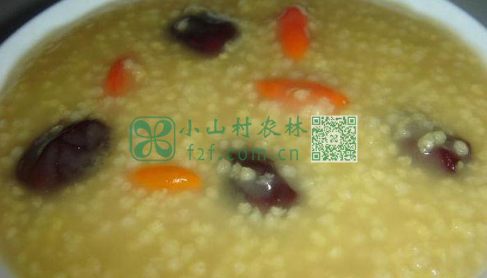 小米粥图片