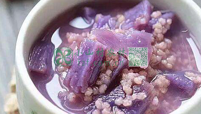 紫薯小米粥图片