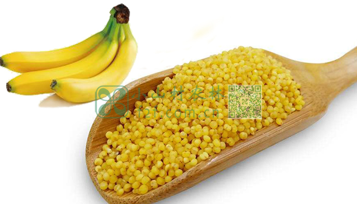 香蕉小米图片