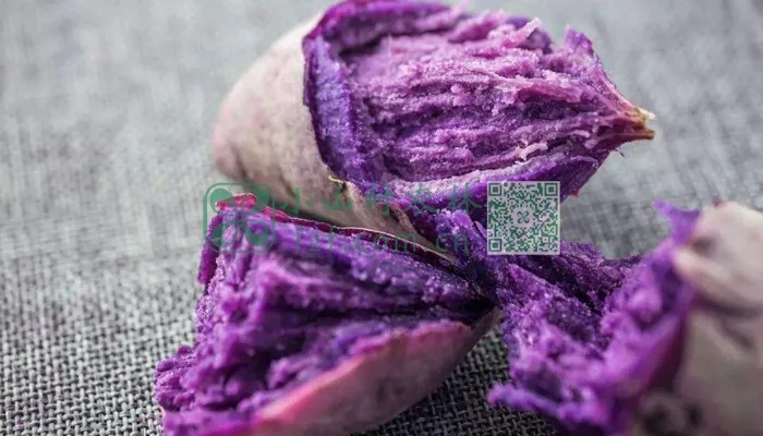 有机紫薯图片